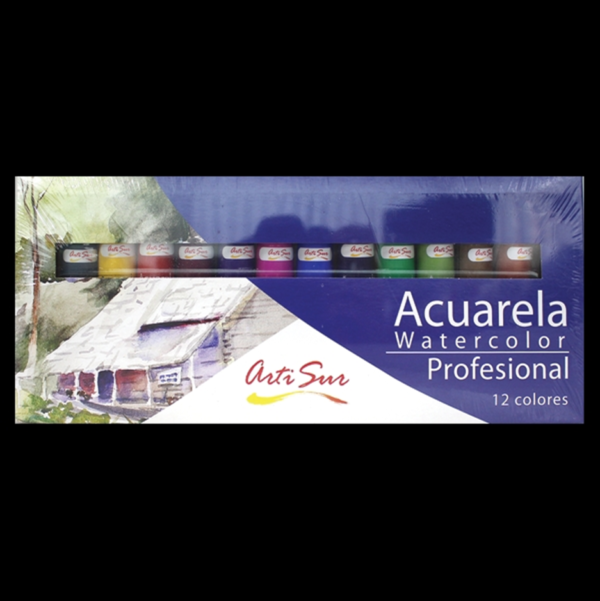 Acuarela Profesional 12ml 12 unidades